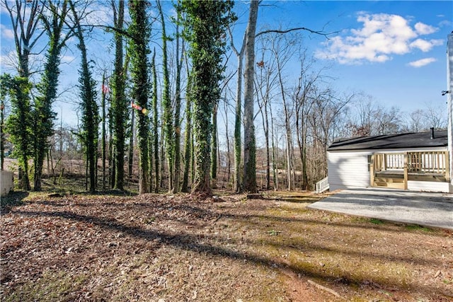 view of yard featuring a patio