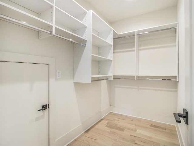 spacious closet featuring light hardwood / wood-style floors