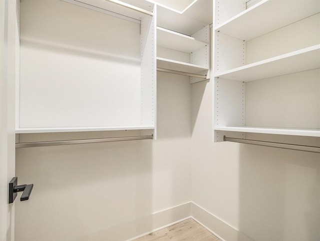 walk in closet with light wood-type flooring