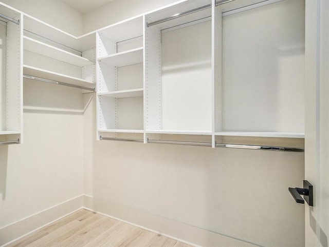 walk in closet featuring light hardwood / wood-style floors