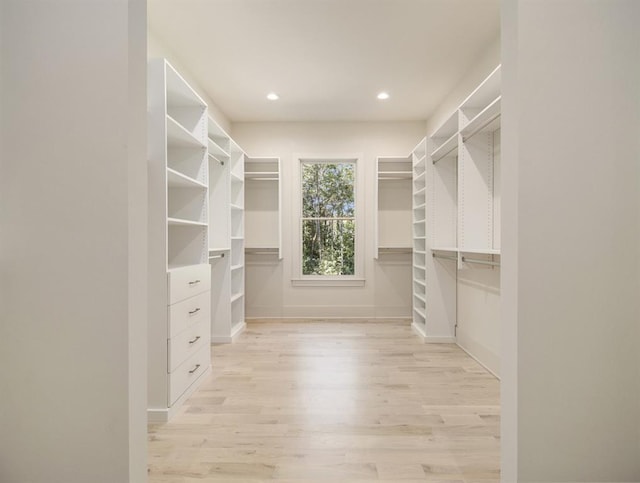 walk in closet featuring light hardwood / wood-style flooring