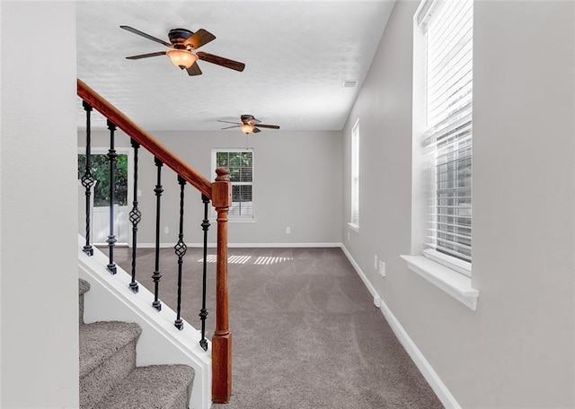 stairs with carpet floors and ceiling fan