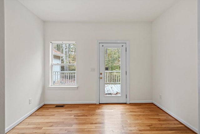 doorway to outside featuring light wood-type flooring and a healthy amount of sunlight