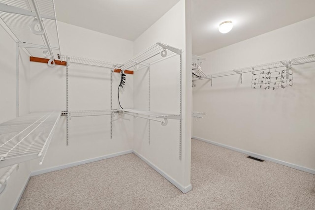 spacious closet featuring carpet flooring