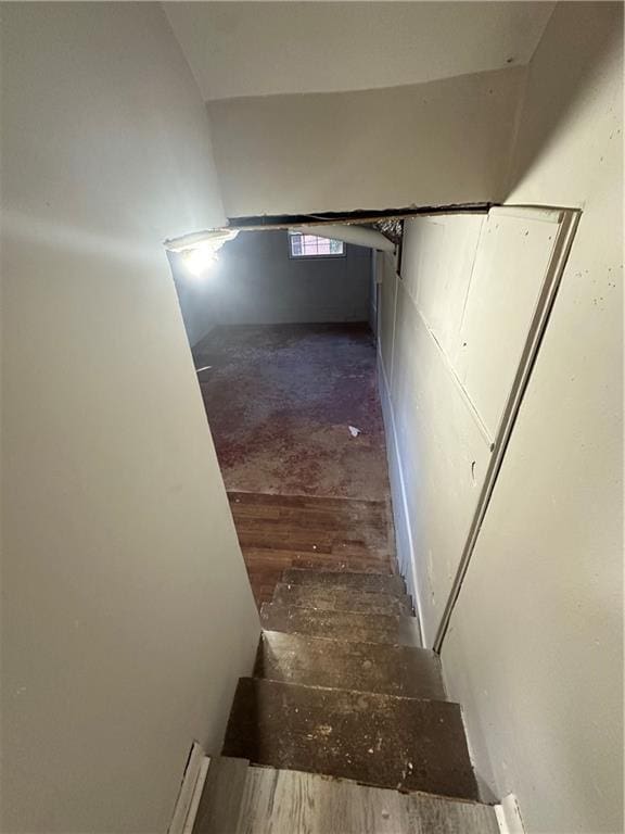 staircase with wood finished floors