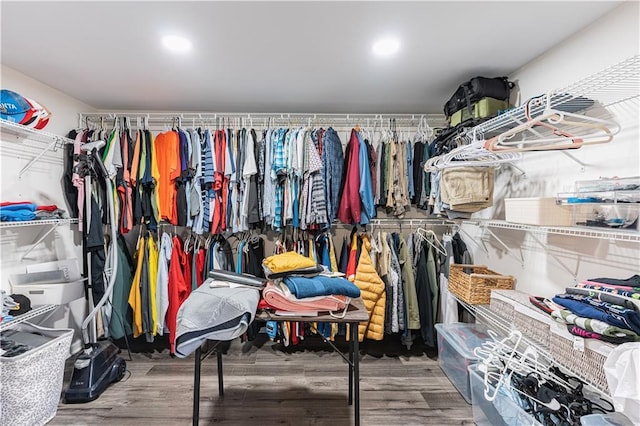 walk in closet featuring wood finished floors