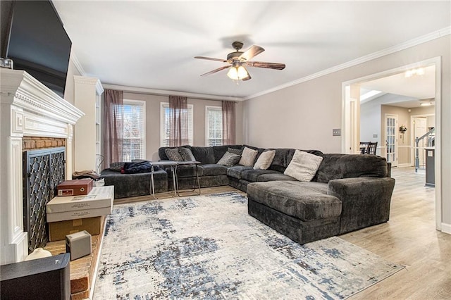 living room featuring ornamental molding, ceiling fan, and light wood-type flooring