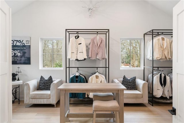 sitting room featuring vaulted ceiling, a healthy amount of sunlight, and light wood-type flooring