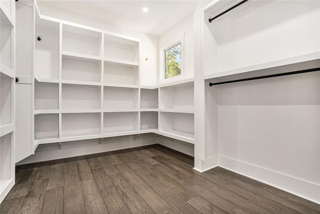 spacious closet featuring dark hardwood / wood-style floors