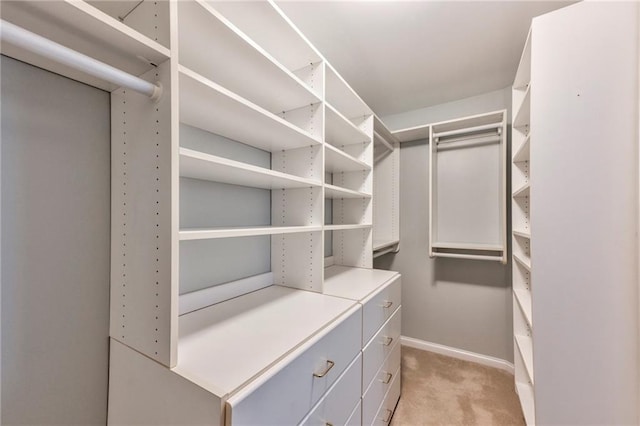 spacious closet featuring light colored carpet