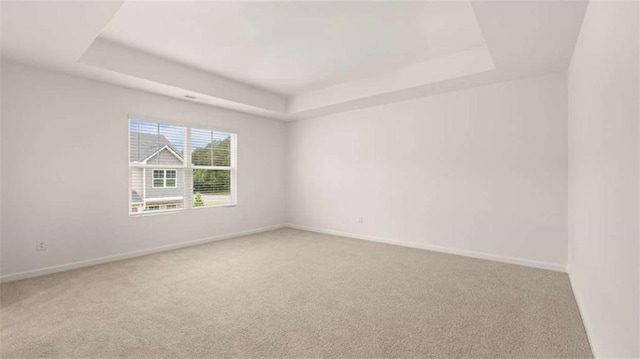 364 Sound Cir, Stockbridge, GA 30281 - empty room with a raised ceiling and carpet flooring