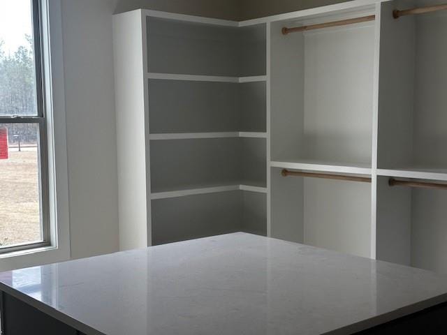 spacious closet with a barn door