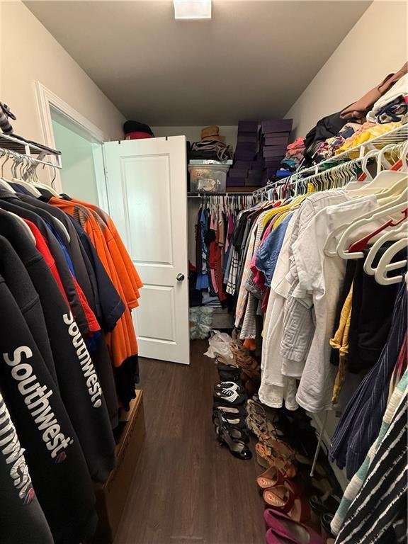 spacious closet featuring dark wood-type flooring