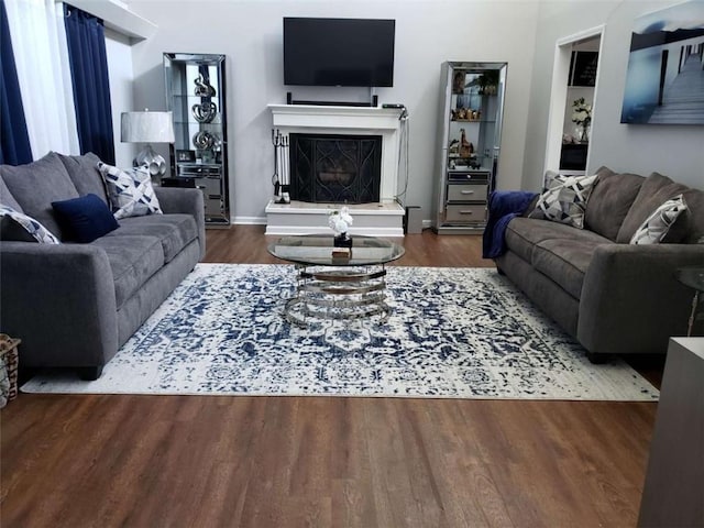living area featuring a fireplace with raised hearth and wood finished floors