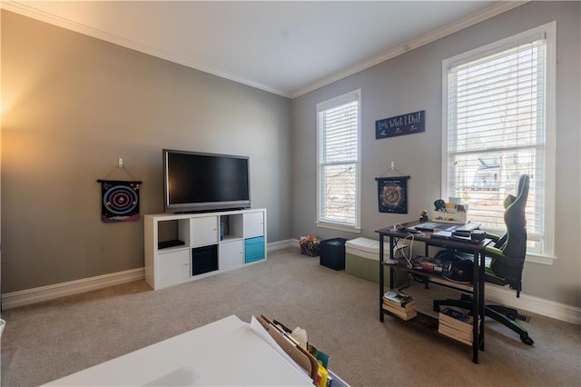 carpeted office space featuring crown molding