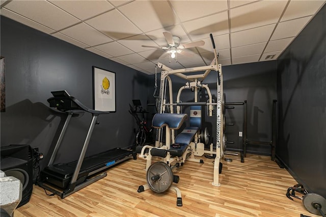 exercise room with ceiling fan, a drop ceiling, and wood finished floors