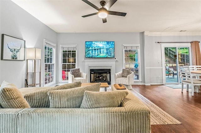 2865 Winter Rose Ct, Dunwoody, GA 30360 - living room with dark wood-type flooring, ceiling fan, a fireplace, and baseboards