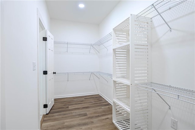 walk in closet featuring dark hardwood / wood-style flooring