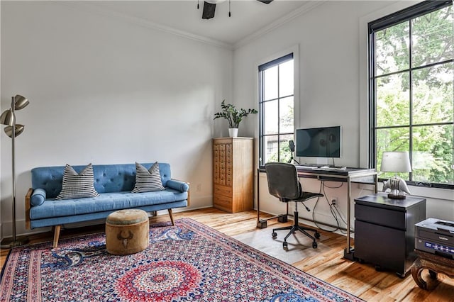 office area featuring ornamental molding, a ceiling fan, and wood finished floors
