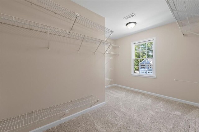 spacious closet featuring carpet flooring