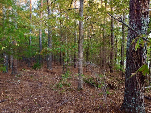 2380 Bethel Rd, Conyers, GA 30012
