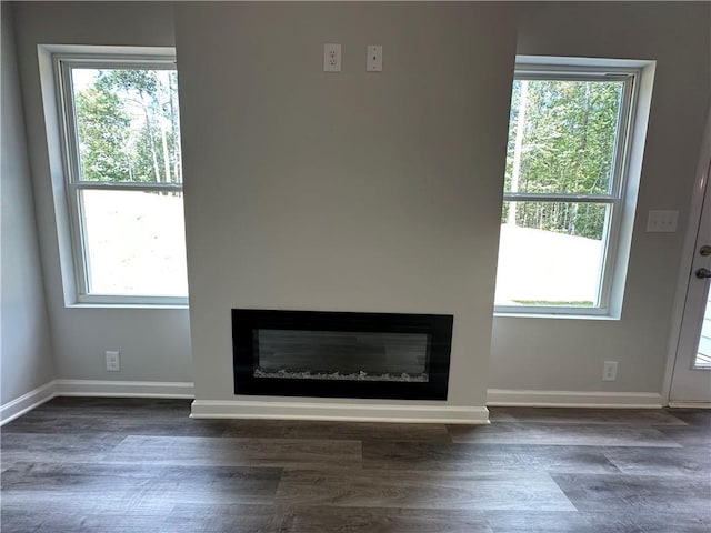 142 Tye St, Stockbridge, GA 30281 - detailed view of a glass covered fireplace and wood finished floors