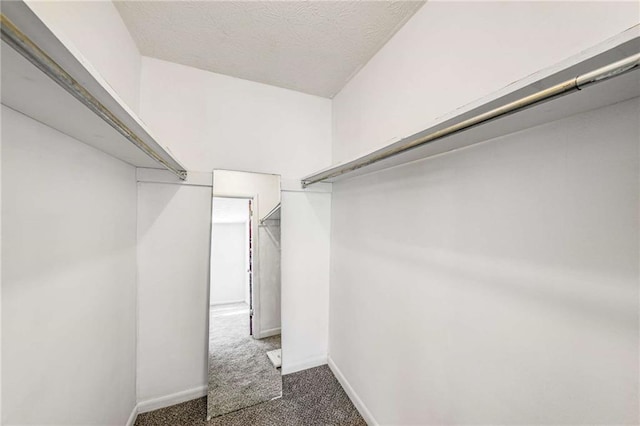 307 Adair St Unit 7-E, Decatur, GA 30030 - walk in closet featuring carpet flooring