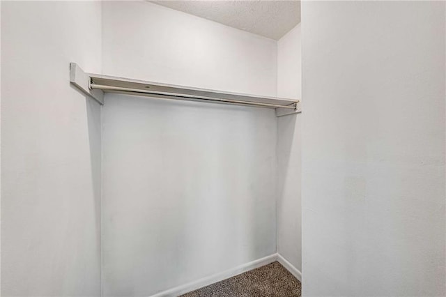 walk in closet with carpet