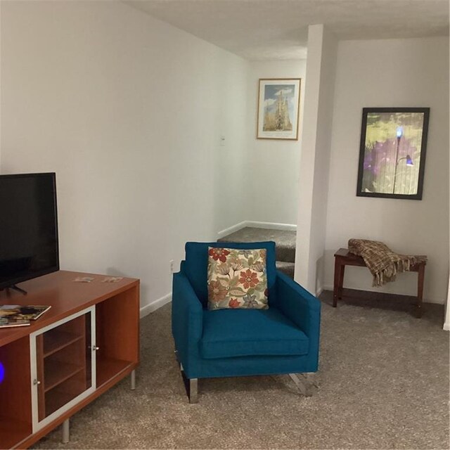 307 Adair St Unit 7-E, Decatur, GA 30030 - living area with carpet and baseboards