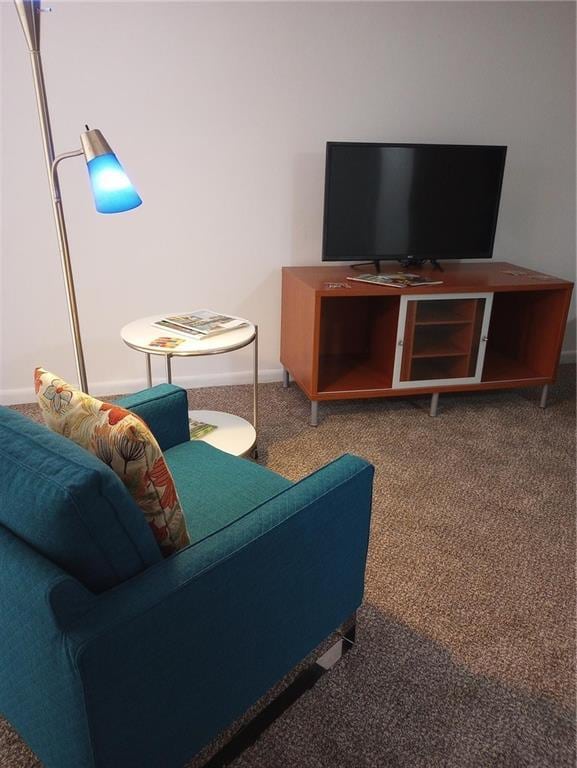 307 Adair St Unit 7-E, Decatur, GA 30030 - carpeted living room featuring baseboards