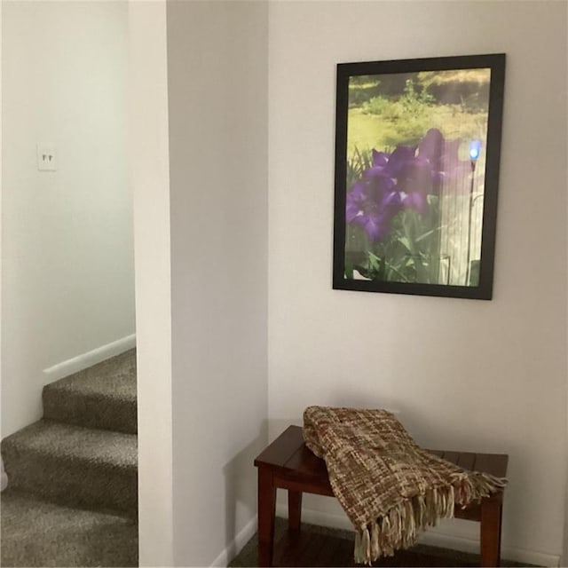 307 Adair St Unit 7-E, Decatur, GA 30030 - stairs featuring baseboards
