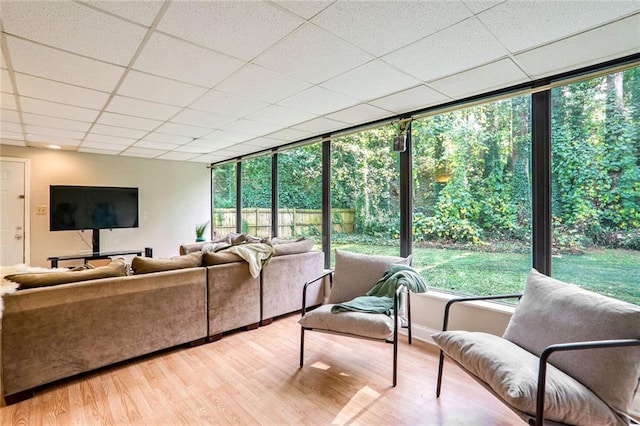 living area featuring light wood finished floors and a drop ceiling