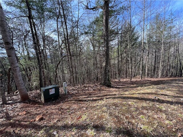 Listing photo 2 for 02.17 Choestoe Trl, Blairsville GA 30512