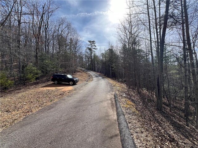 Listing photo 3 for 02.17 Choestoe Trl, Blairsville GA 30512