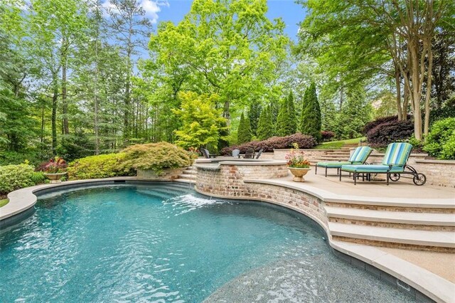 view of swimming pool with a patio