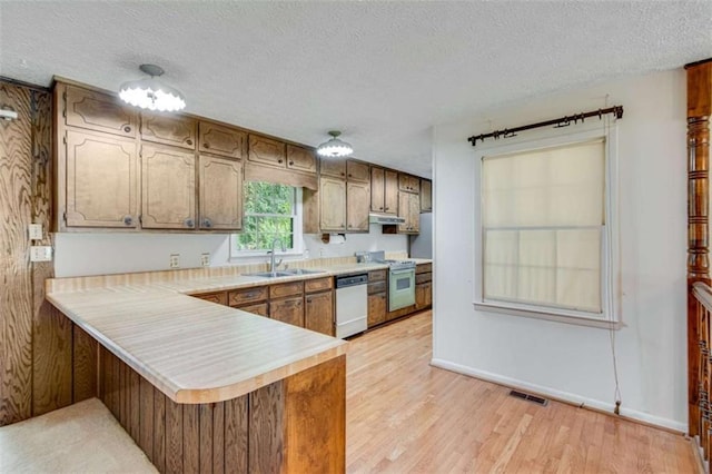 3740 Windy Hill Cir, Gainesville, GA 30504 - kitchen with dishwasher, a sink, white range, light countertops, and light wood finished floors