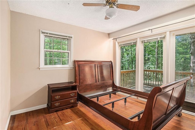178 Garrison St, Homer, GA 30547 - bedroom featuring a textured ceiling, wood-type flooring, and multiple windows
