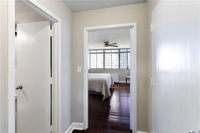 corridor featuring dark hardwood / wood-style floors