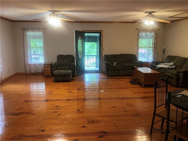4744 Chickasaw Way SE, Acworth, GA 30102 - living area featuring ceiling fan, plenty of natural light, ornamental molding, and hardwood / wood-style flooring
