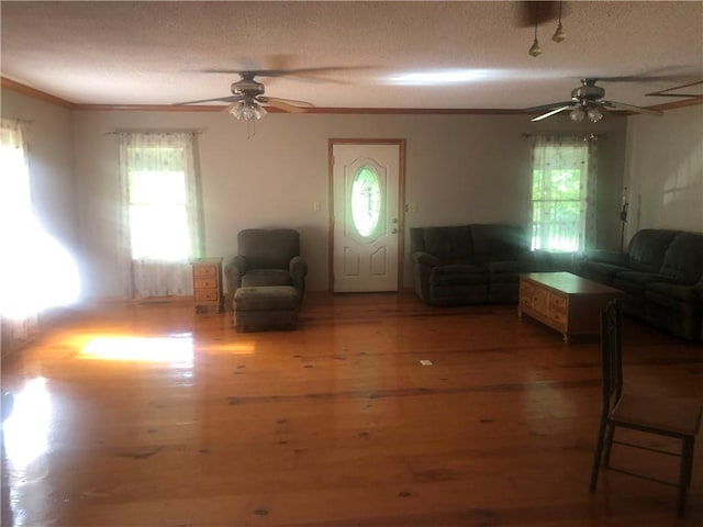 4744 Chickasaw Way SE, Acworth, GA 30102 - living room featuring a ceiling fan, ornamental molding, a textured ceiling, and wood finished floors
