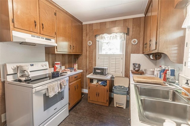 166 Etowah Dr, Cartersville, GA 30120 - kitchen featuring brown cabinetry, white electric range oven, a sink, and under cabinet range hood