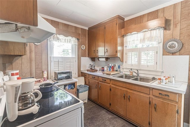 166 Etowah Dr, Cartersville, GA 30120 - kitchen featuring under cabinet range hood, a sink, white range with electric cooktop, and a healthy amount of sunlight
