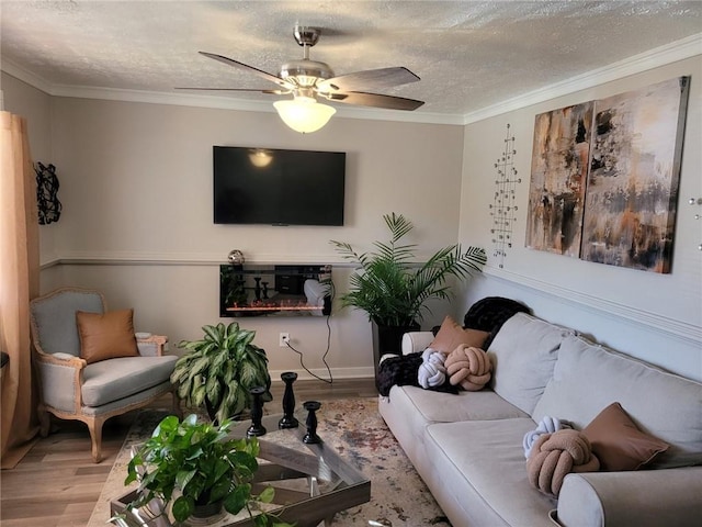 1625 Conley Rd Unit 229, Conley, GA 30288 - living room with wood finished floors, ornamental molding, a textured ceiling, and ceiling fan