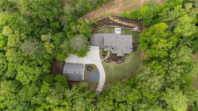 bird's eye view