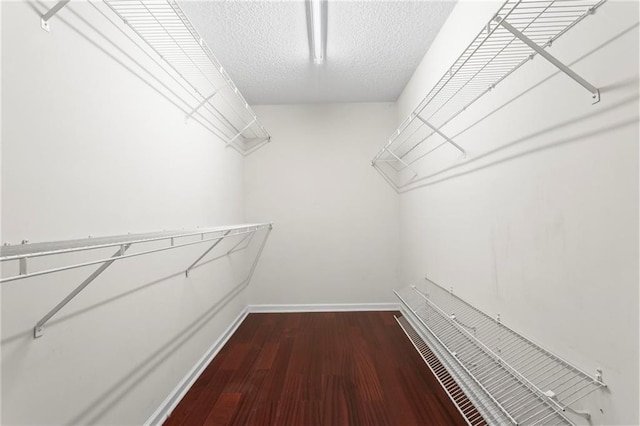 walk in closet featuring dark wood-style flooring