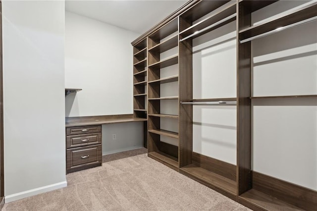 spacious closet with light colored carpet and built in study area