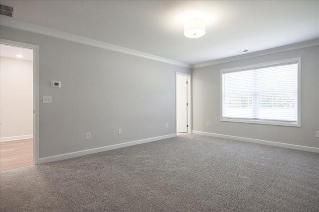 empty room with carpet and crown molding