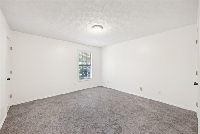 empty room featuring carpet flooring and a textured ceiling