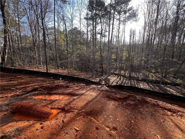 70 Meridian Pt, Dallas, GA 30132 - exterior space