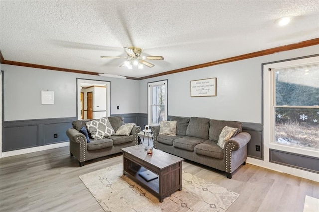 living room featuring crown molding, ceiling fan, a textured ceiling, and light hardwood / wood-style flooring